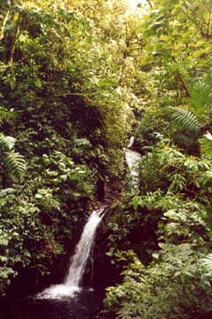 Wasserfall im Monteverde Reservat