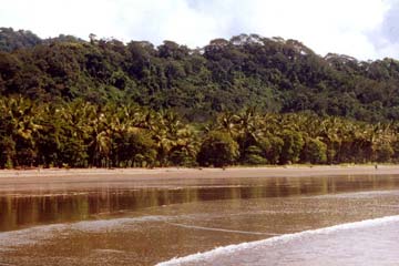 Playa Dominical an der Pazifikküste