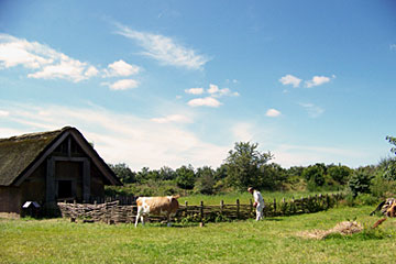 Wikingerdorf, Ribe