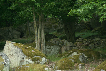 Grundmoränenlandschaft