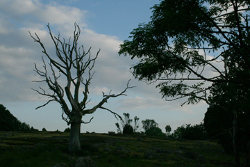 Wild- und Naturpark Eriksberg