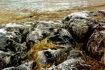 Kluftkarren im Burren, County Clare