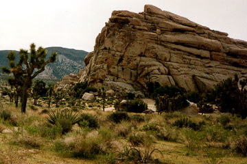 Joshua Tree Nationalpark, Kalifornien