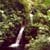 Wasserfall im Monteverde Reservat