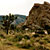 Joshua Tree Nationalpark, Kalifornien